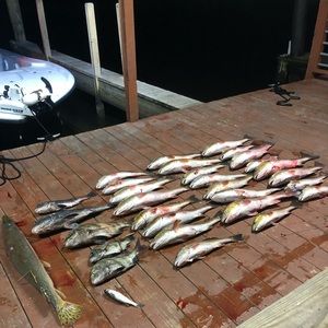 Meet your Posher, Kirk